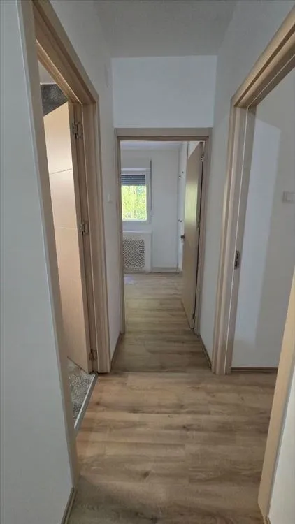 Аренда: однокомнатная квартира, 22 м² — Звездара — фото 5