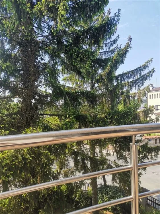 Izdavanje: Jednosoban stan, 40 m² — Opština Savski venac — fotografija 6